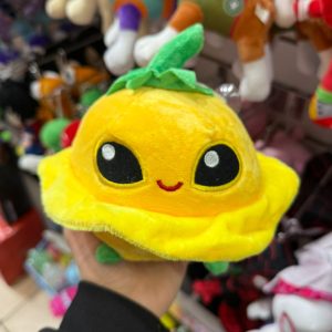 Squash